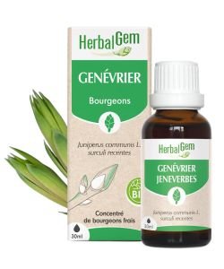 Genévrier (Juniperus communis) j.p. BIO, 30 ml